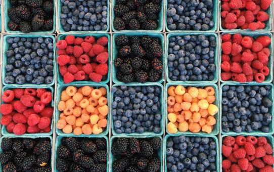 Cookery School: THEORY Fruits: Berries