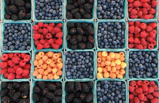 Cookery School: THEORY Fruits: Berries